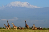 Tanzania - Kaskazi Safaris