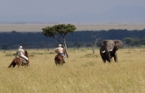 Kenya ~ Offbeat Safaris