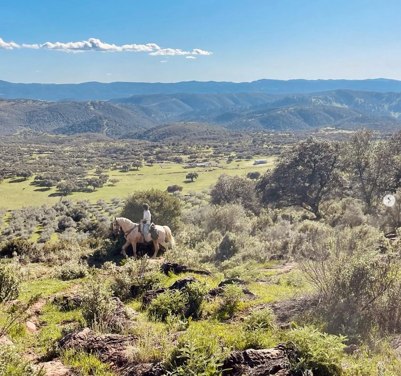 Spain - George Scott Rides, Andalucia - Horse Riding Holidays